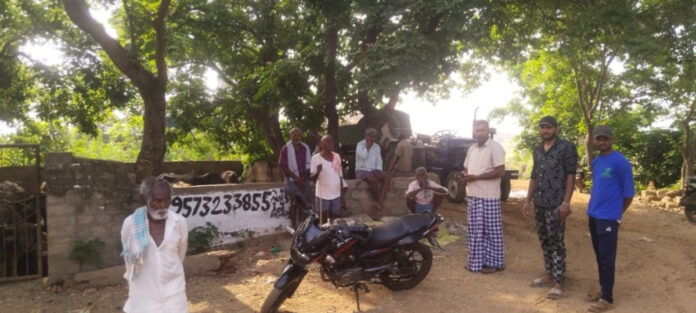 Should we provide water and food to the animals?