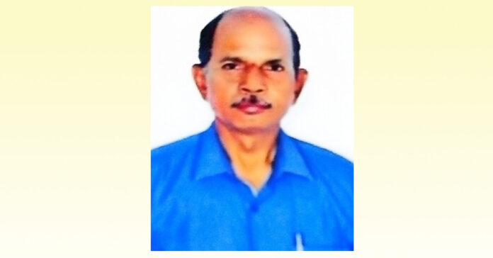 Application deadline for the dairy buffalo scheme extended