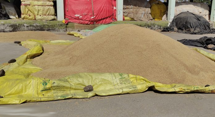 Should sorghum purchasing centers be established?
