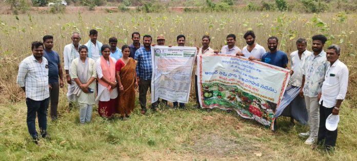 Awareness on oil farm cultivation for new farmers