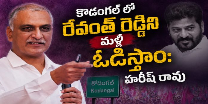 We will defeat Revanth Reddy again in Kodangal: Harish Rao