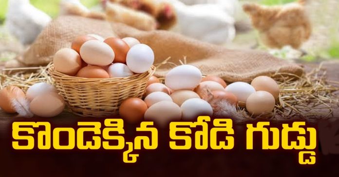 భారీగా పెరిగిన కోడిగుడ్డు ధర..