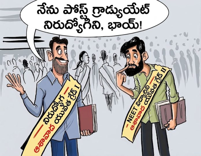 What is the connection between education and employment?