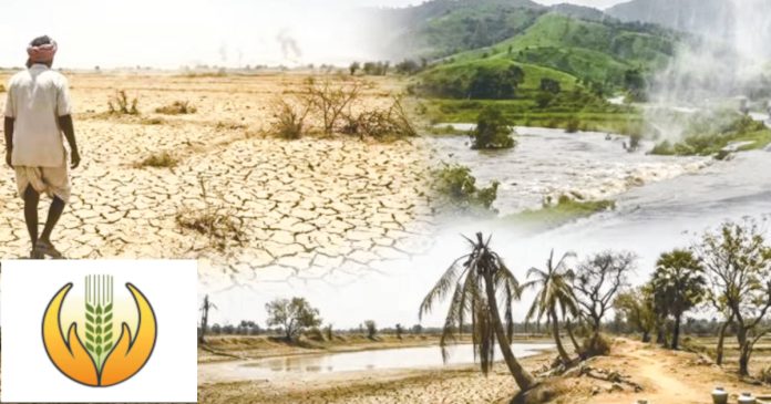 ధీమా ఇవ్వని బీమా