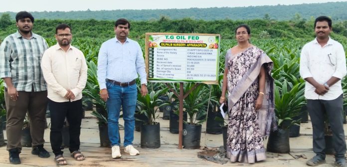 రైతులకు అందుబాటులోకి రానున్న నాణ్యమైన మొక్కలు