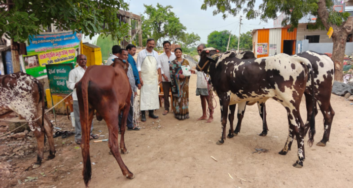 దన్నూర్లో పశువైద్య శిబిరం