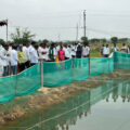 government-incentives-for-fish-farming