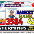 ranks-for-master-mind-students-in-mset-results
