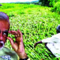 not-a-single-farmer-in-gujarat-will-benefit