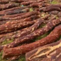 arrest-of-five-smugglers-to-seize-red-sandalwood-worth-crores