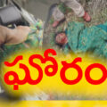fatal-road-accident-in-telangana-results-in-spot-death
