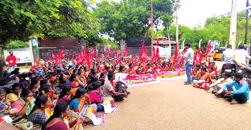 Collectorates besieged by Anganwadis