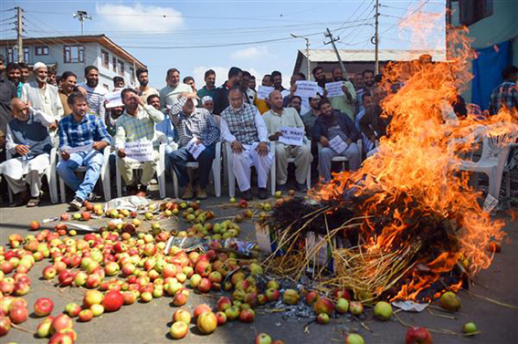 A thunderbolt on the apple farmers of Kashmir with the central decision