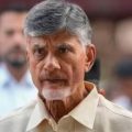 chandrababus-bail-petition-adjourned-to-17