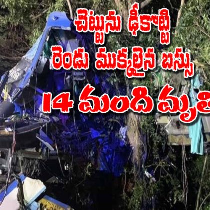 14-people-died-when-the-bus-hit-a-tree-and-broke-into-two-pieces