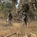 three-maoists-were-killed-in-the-encounter-in-chhattisgarh