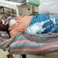 gita-worker-died-after-falling-from-a-palm-tree-6