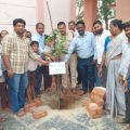 meo-who-planted-saplings-in-ashram-school