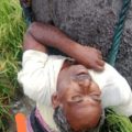 gita-worker-died-after-falling-from-palm-tree