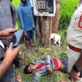 young-farmer-died-due-to-electric-shock