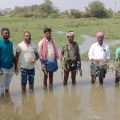 plight-of-farmers-due-to-pond-flood-water