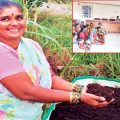 A success story of a woman farmer