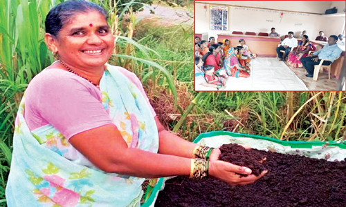 A success story of a woman farmer