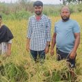 ao-inspecting-crops-damaged-by-hail