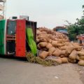 wood-lorry-overturned-in-ditch-palli-mandal-center