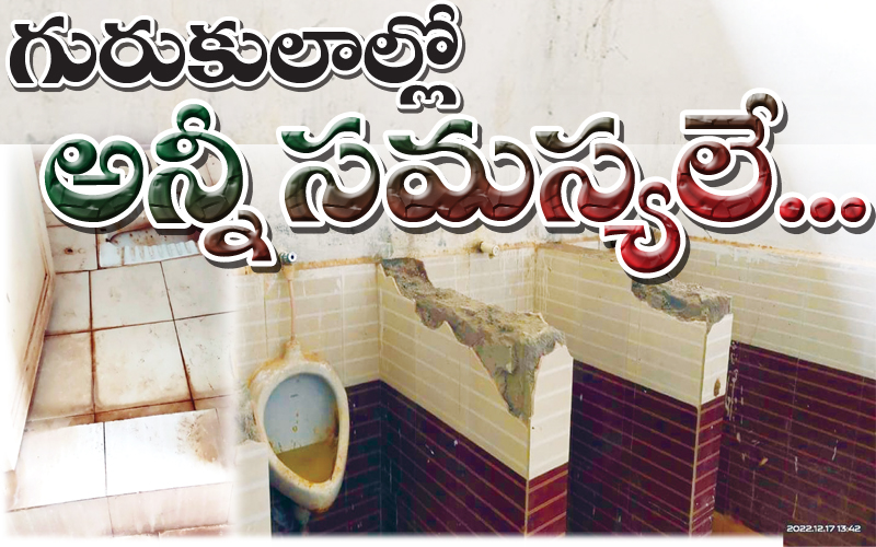 All the problems in Gurukuls..
