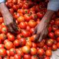 vegetable-prices-have-skyrocketed