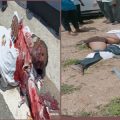 two-people-died-on-the-spot-in-a-serious-road-accident