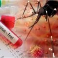 zika-virus-for-two-in-the-same-house-in-pune