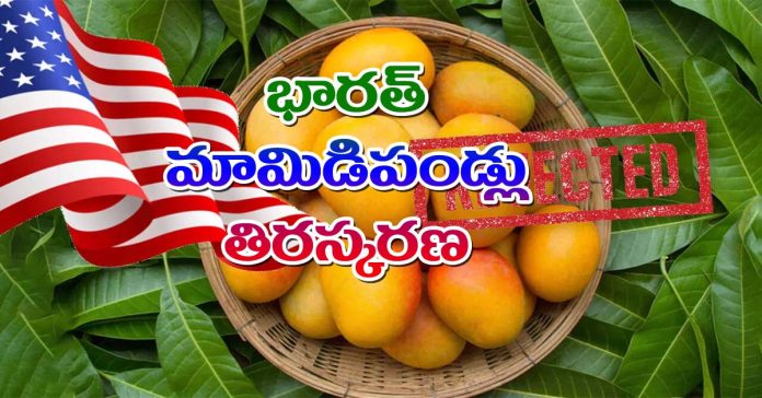 Mangoes rejection