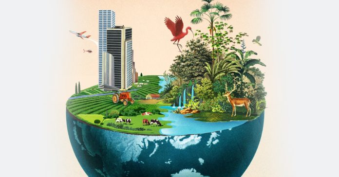 Human survival depends on biodiversity.