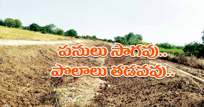 Crop Holiday