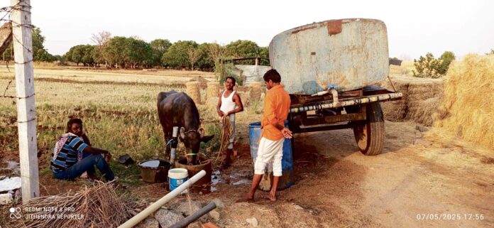 Tanker water to quench the thirst of the mute creatures