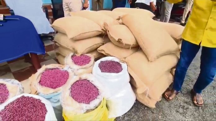 fake cotton seeds s