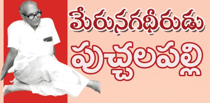 Merunagadhirudu Puchalapalli