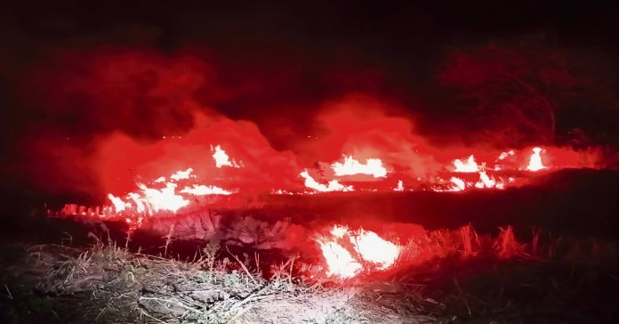 Fire spreads over 270 acres