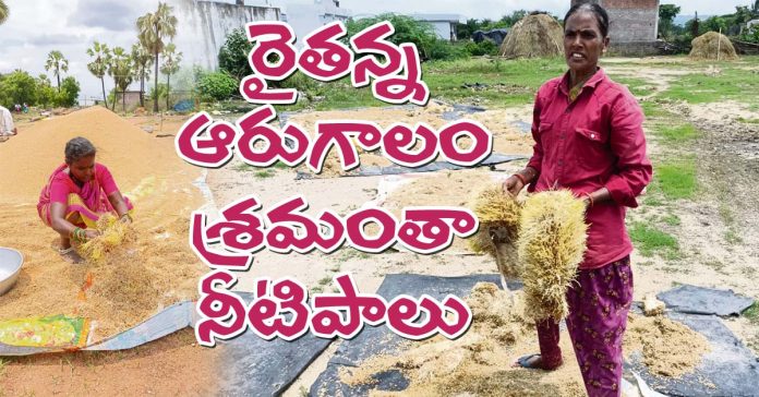 The farmer's six-gallon labor is all about water.