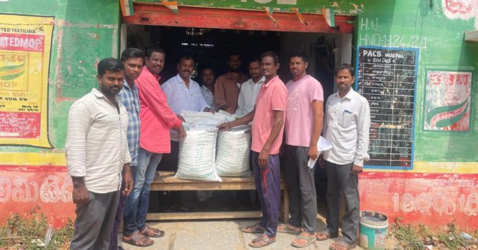 Distribution of Jeeluga seeds
