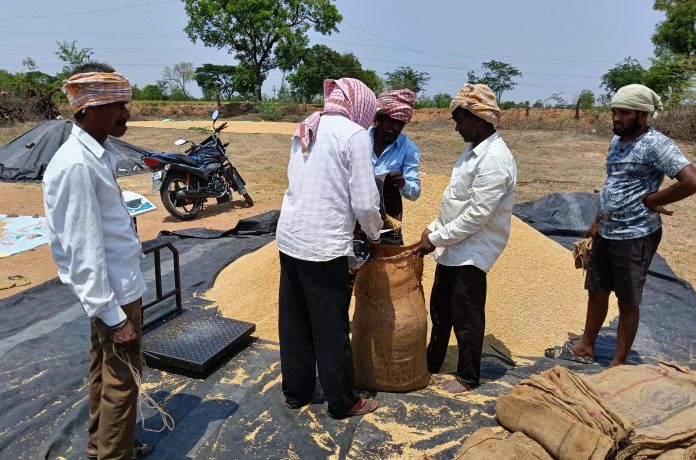 Looting at grain purchasing centers!