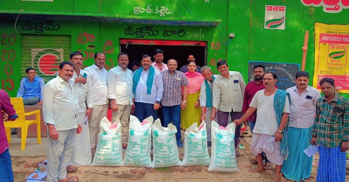 Distribution of Jilugu seeds..