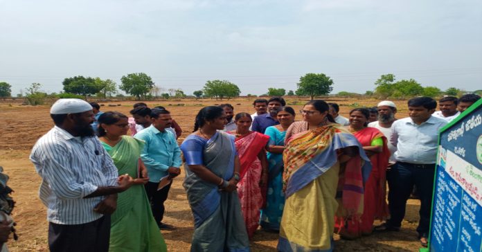 Collector Abhilasha Abhinav