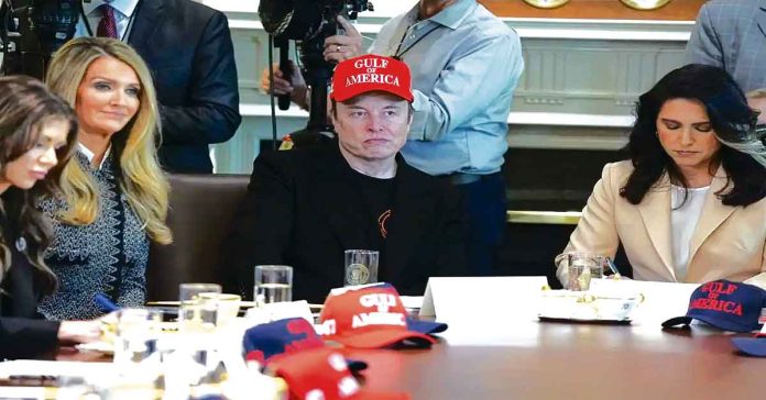 Musk bids farewell to Trump administration