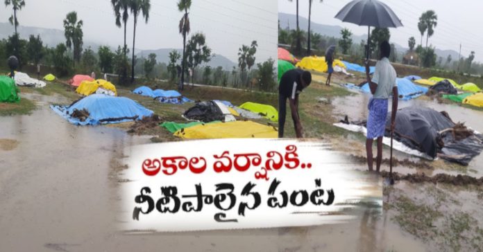 Untimely rain... food donors are in trouble