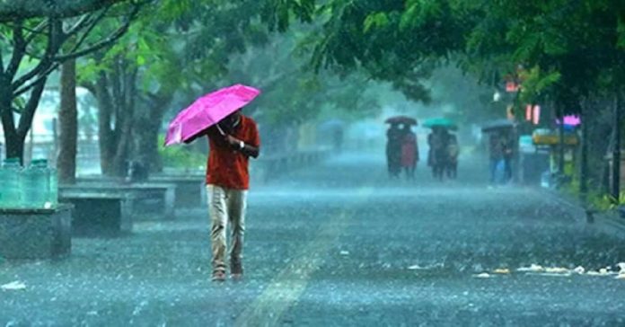 rain