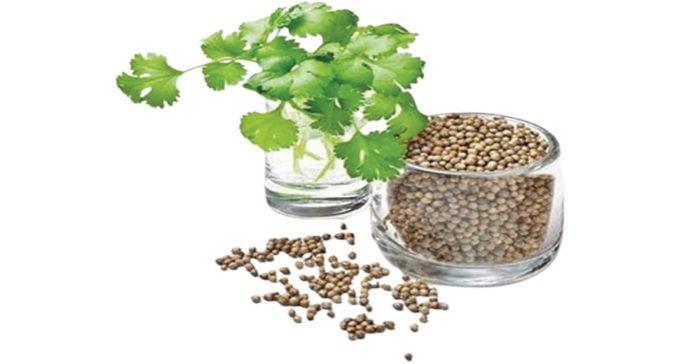 Let's grow it at home...