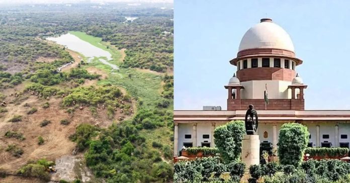 Supreme Court's key comments on Kancha Gachibowli land issue